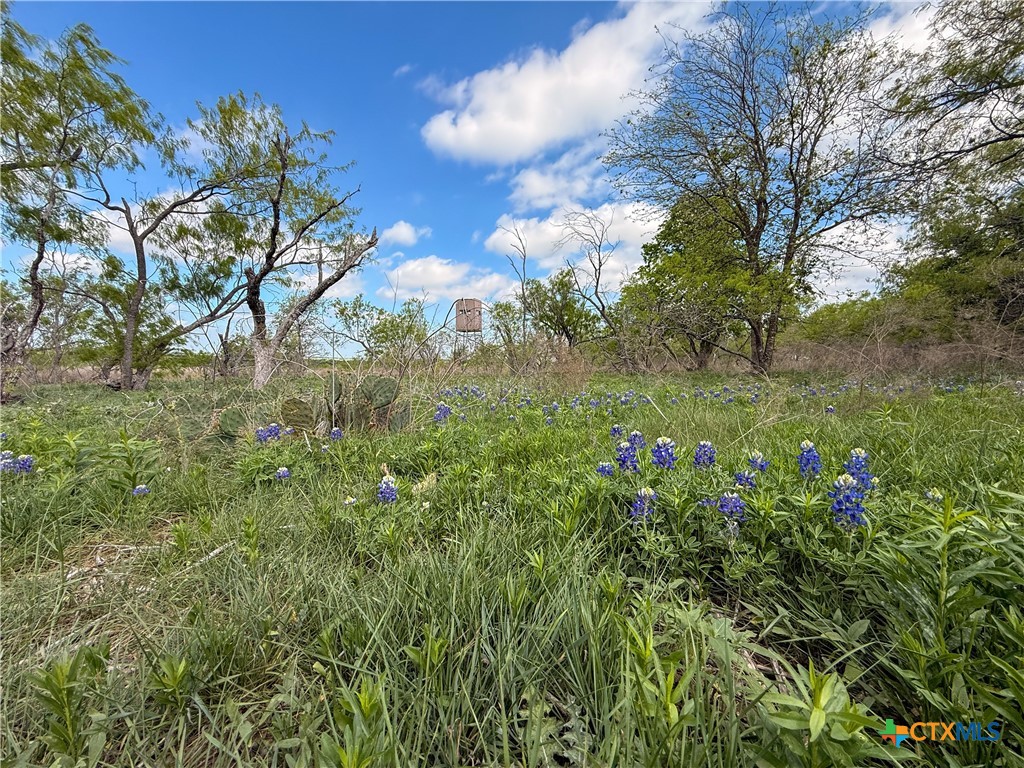 6947 Moody Road Property Photo 28