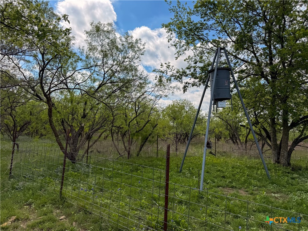6947 Moody Road Property Photo 29
