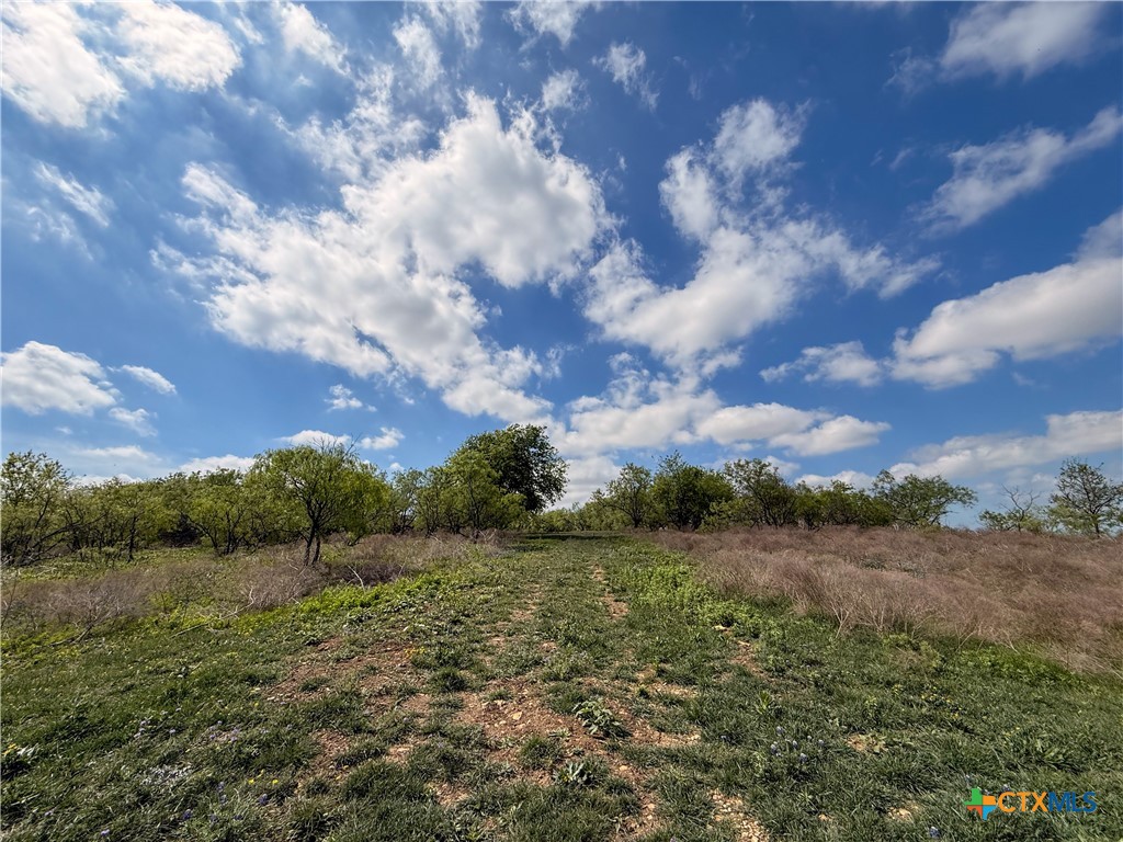 6947 Moody Road Property Photo 33