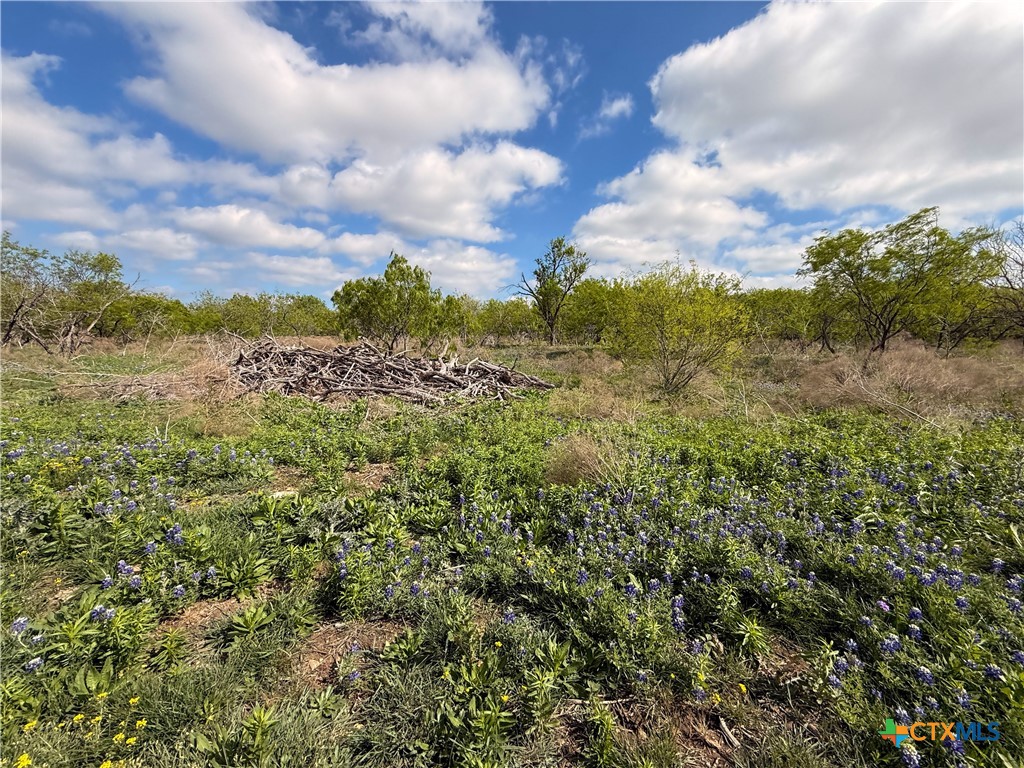 6947 Moody Road Property Photo 34