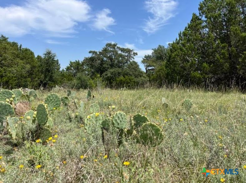 8629 Fm 1960 Property Photo 12