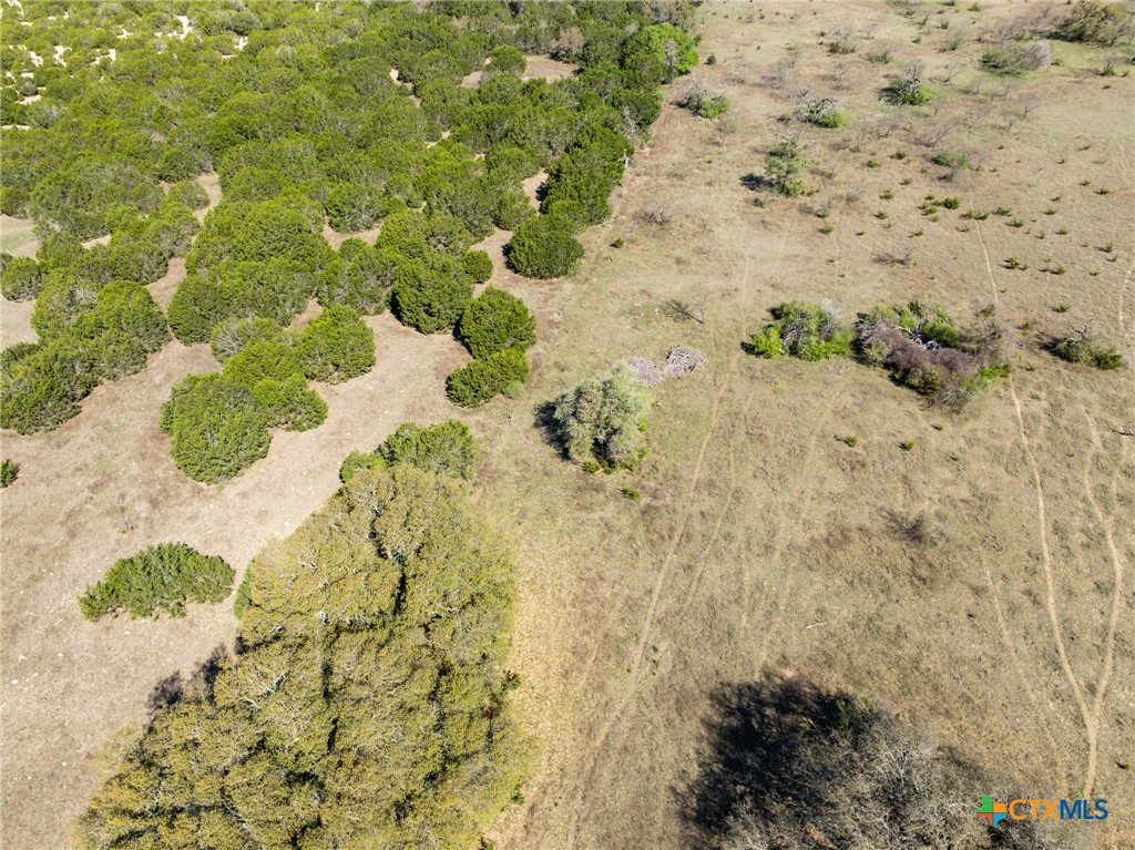 8629 Fm 1960 Property Photo 18