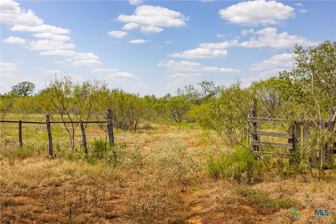 1945 County Road 443 Road Property Photo 4