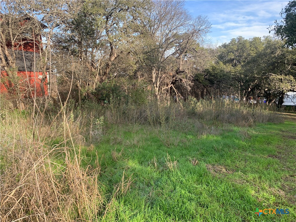 2675 Country Ledge Drive Property Photo 10