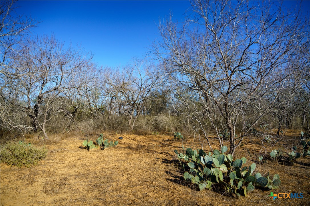 000 Fm 476 Property Photo 4