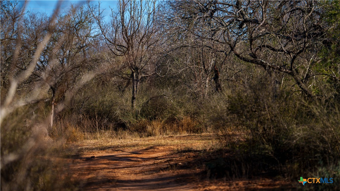 000 Fm 476 Property Photo 5