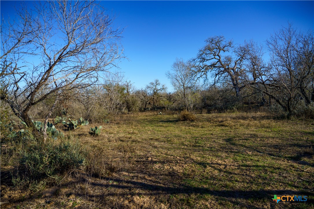 000 Fm 476 Property Photo 6