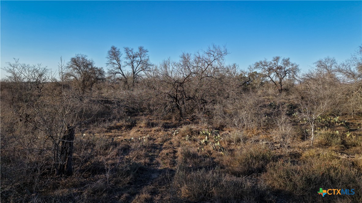 000 Fm 476 Property Photo 15