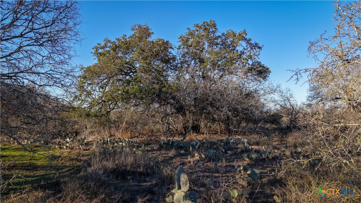 000 Fm 476 Property Photo 16