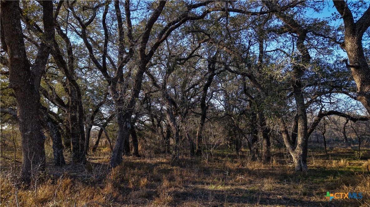 000 Fm 476 Property Photo 20