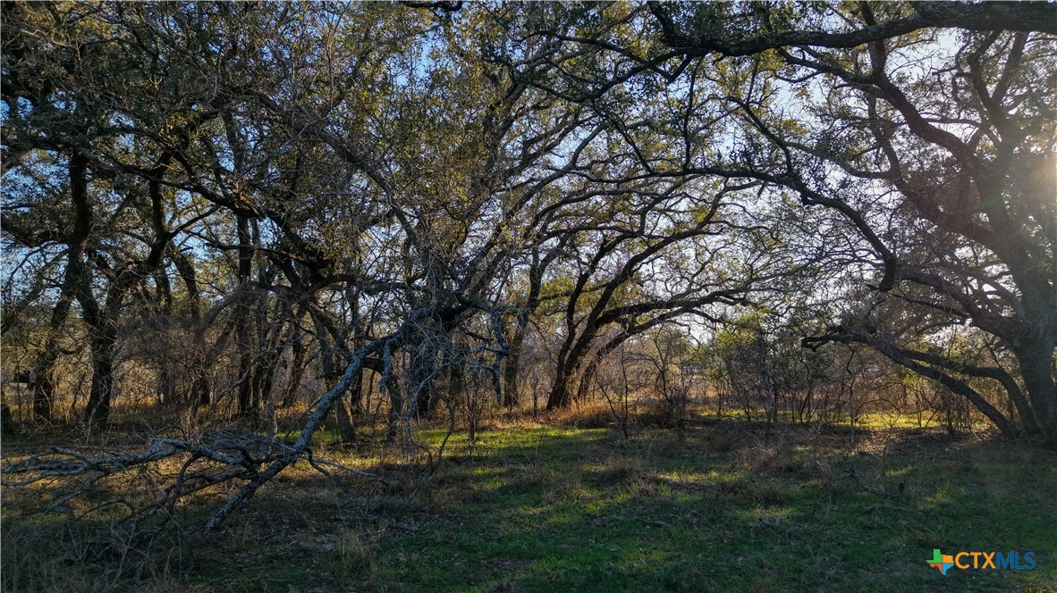 000 Fm 476 Property Photo 21