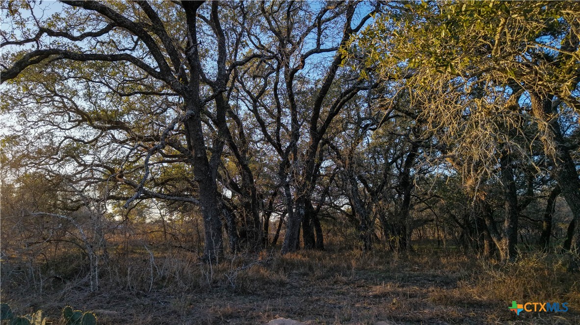 000 Fm 476 Property Photo 23