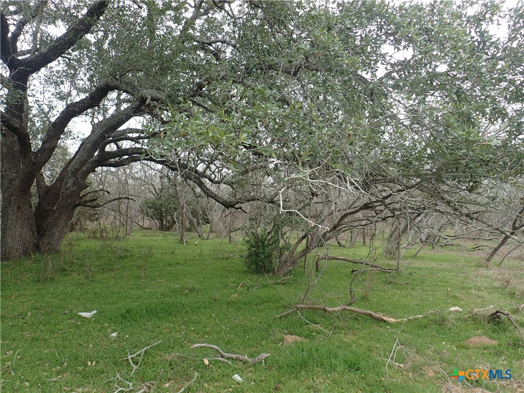 Tbd Silver Mine Road Property Photo 6