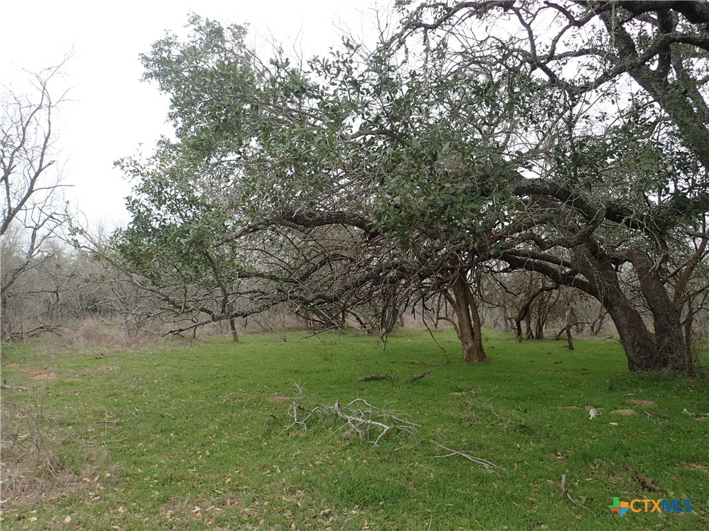 Tbd Silver Mine Road Property Photo 8