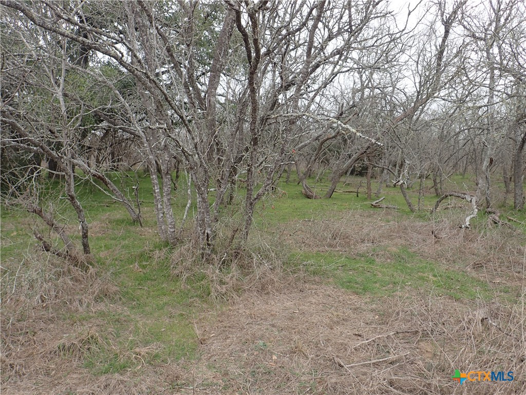 Tbd Silver Mine Road Property Photo 11
