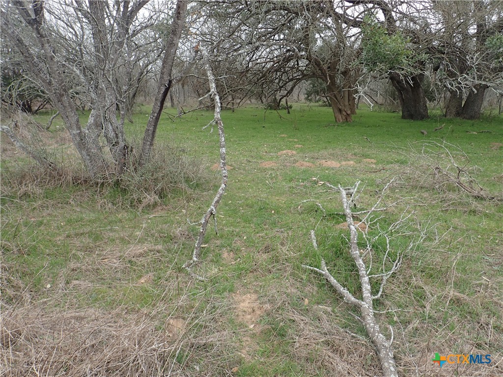 Tbd Silver Mine Road Property Photo 12