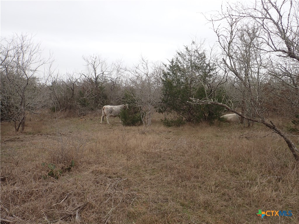 Tbd Silver Mine Road Property Photo 15