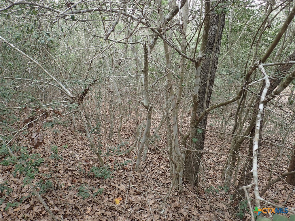 Tbd Silver Mine Road Property Photo 20