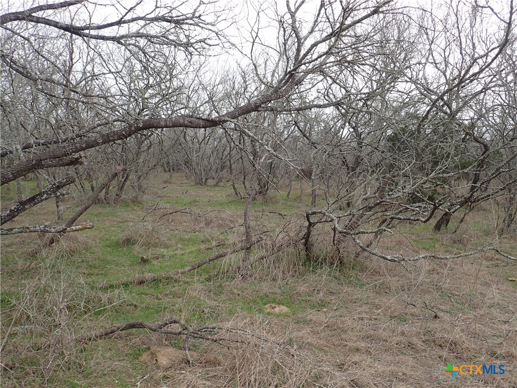 Tbd Silver Mine Road Property Photo 26