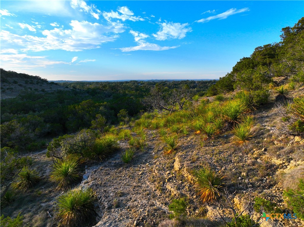 553&565 Cloud Top Property Photo 1