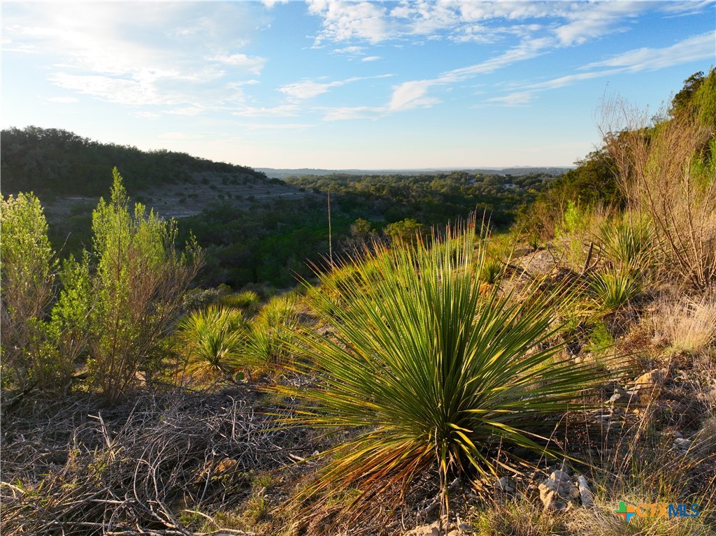 553&565 Cloud Top Property Photo 4