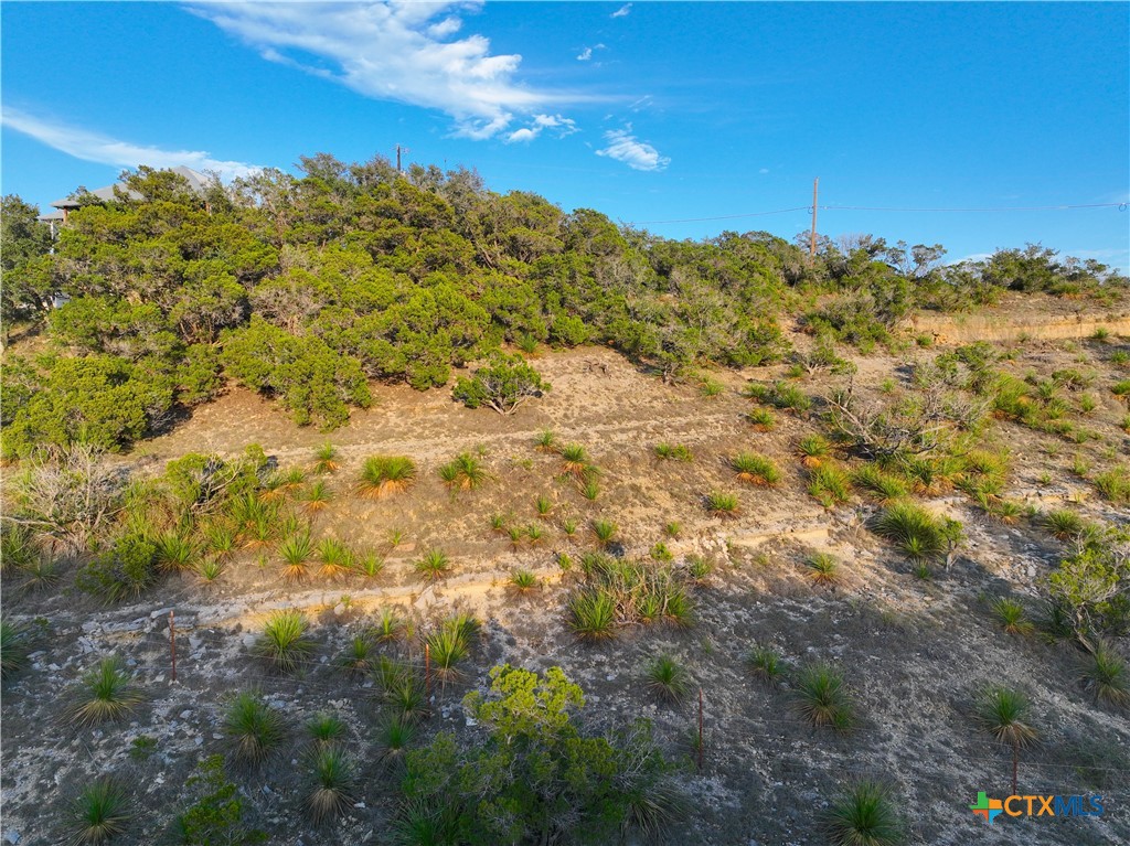 553&565 Cloud Top Property Photo 8