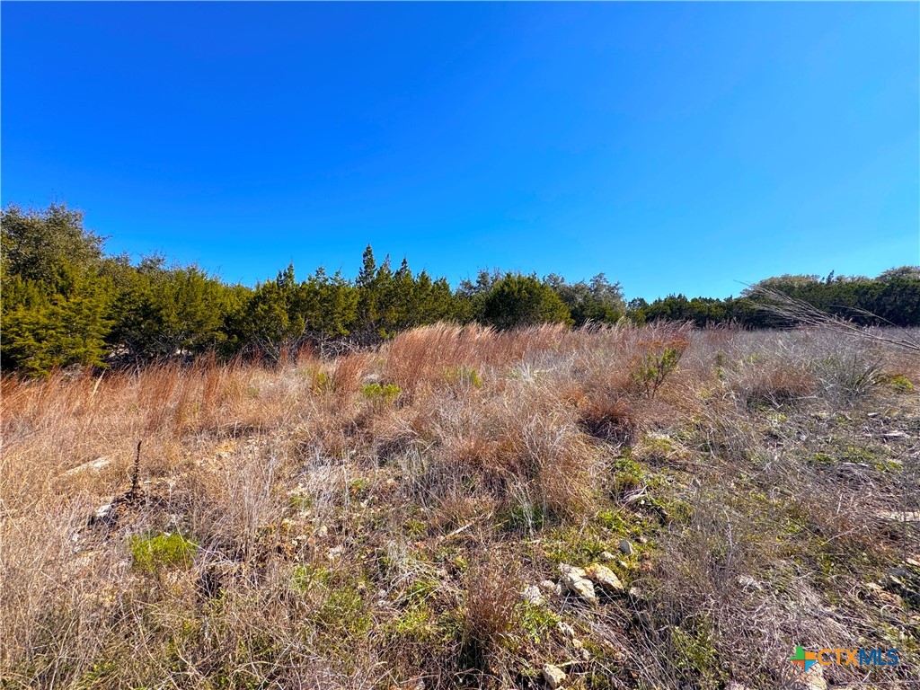 344 Scarlet Court Property Photo 12