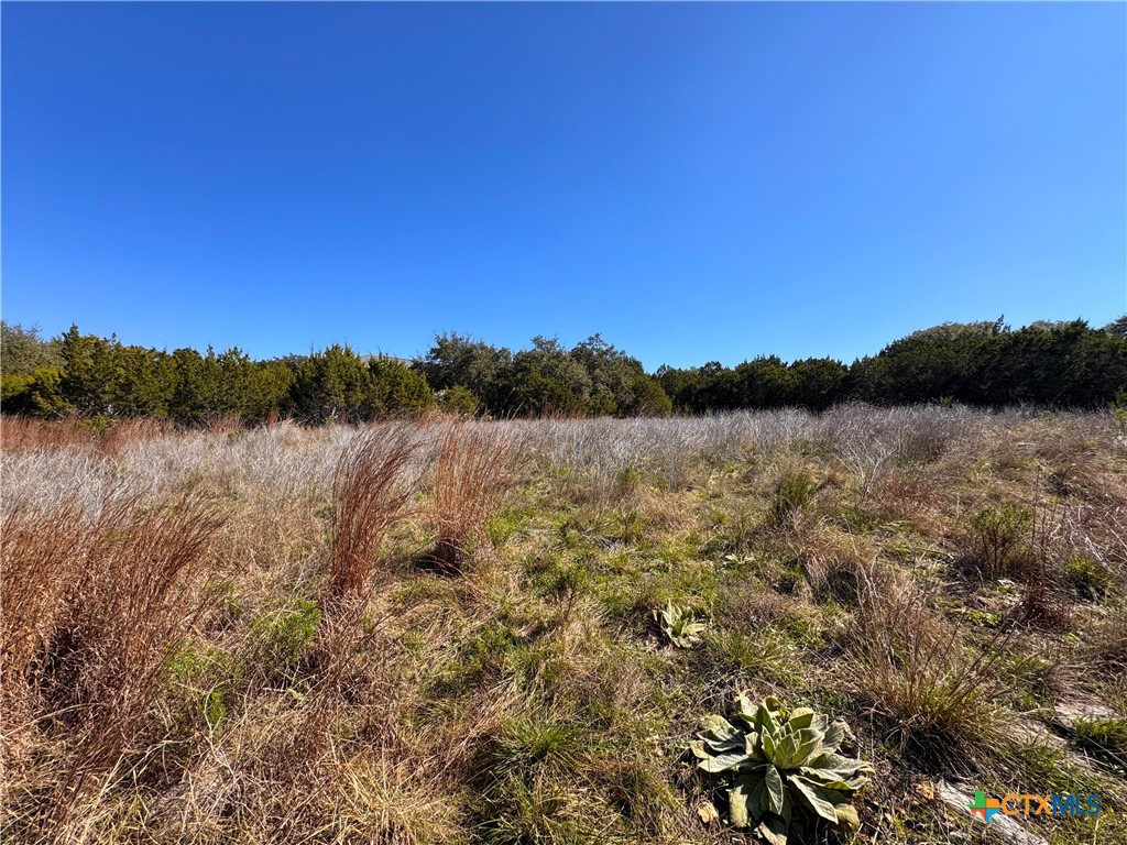 344 Scarlet Court Property Photo 16