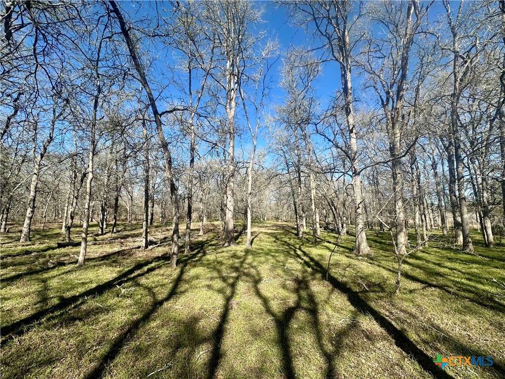 Tbd Cr 412 Property Photo 8