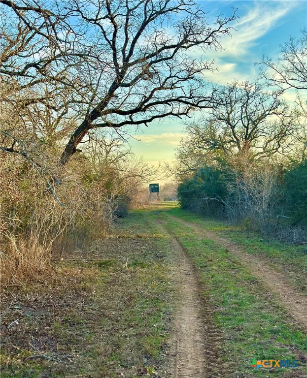 Tbd Cr 412 Property Photo 10