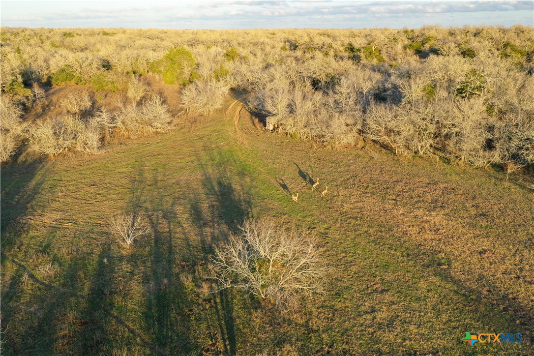 Tbd Cr 412 Property Photo 33