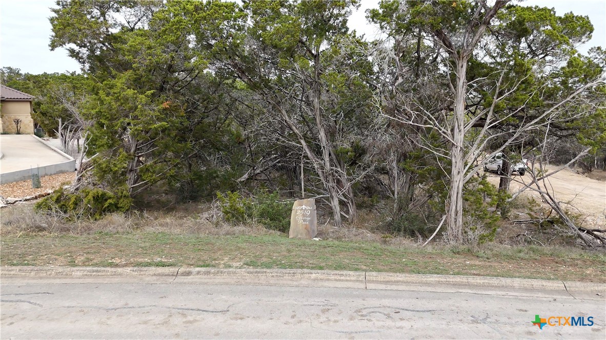 2519 George Pass Property Photo 4