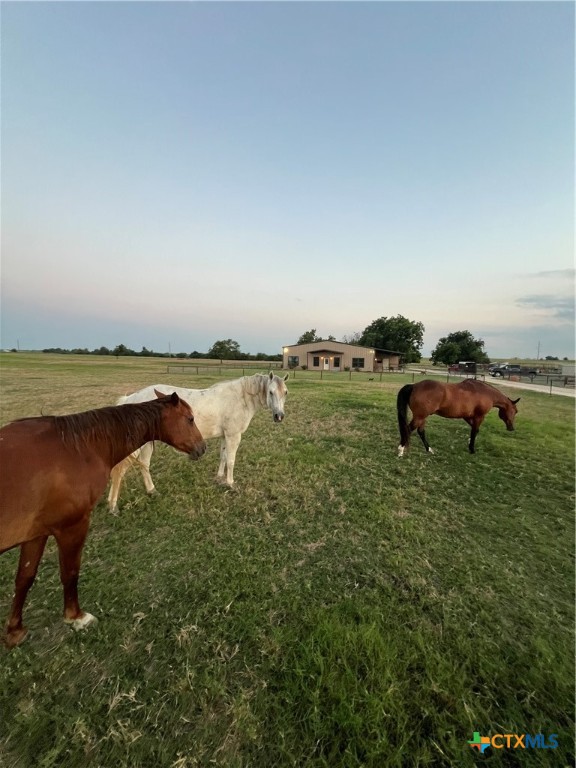 13710 Cathey Creek Road Property Photo 35