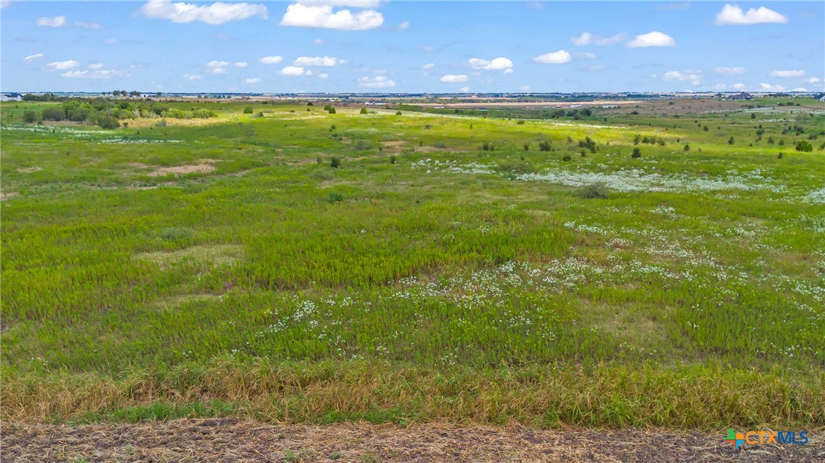 Tbd County Road 455 Property Photo 10