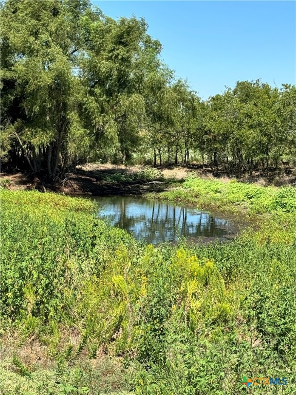Tbd County Road 455 Property Photo 11