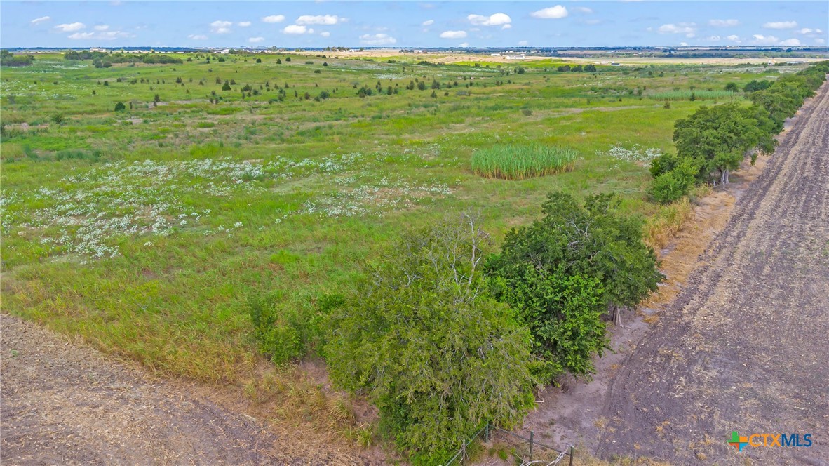 Tbd County Road 455 Property Photo 13