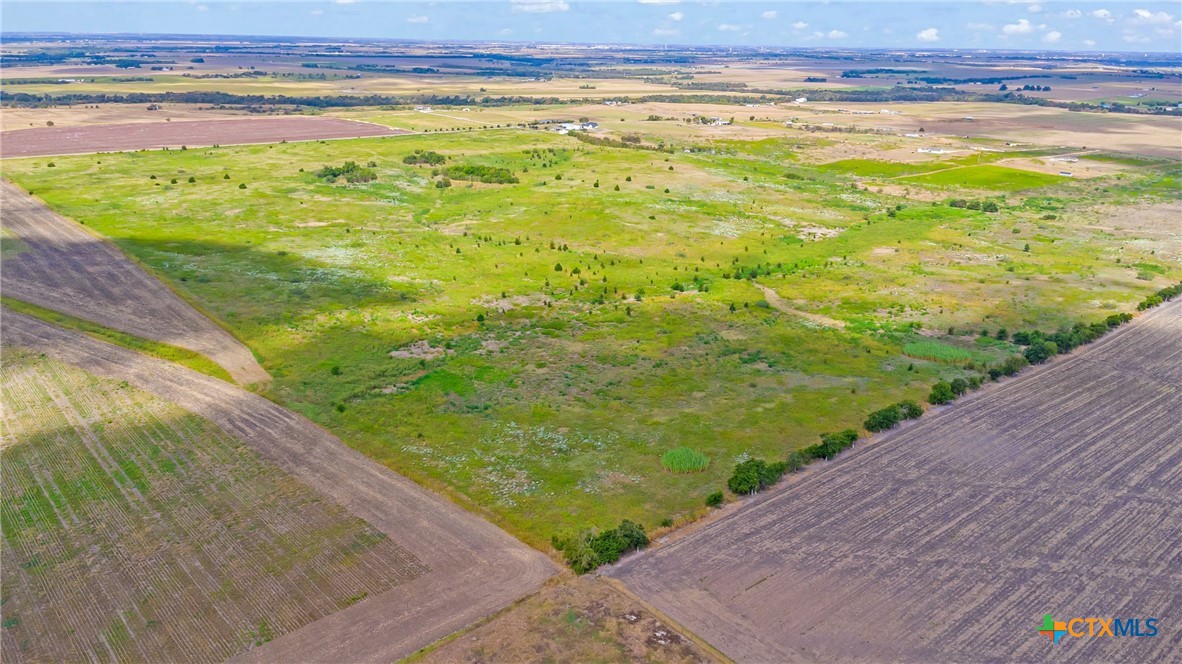 Tbd County Road 455 Property Photo 19
