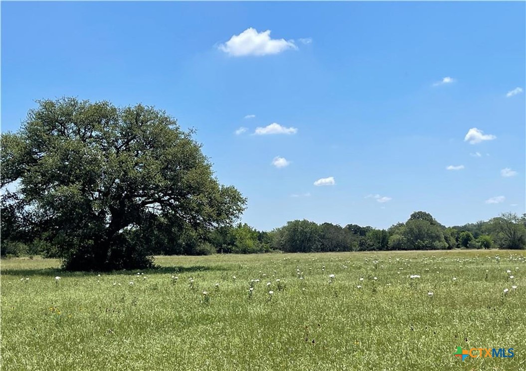 12323 Crows Ranch Road Property Photo 12