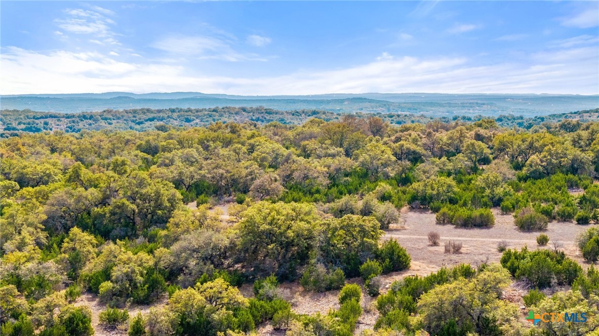Tbd Ranch To Market 962 Property Photo 6