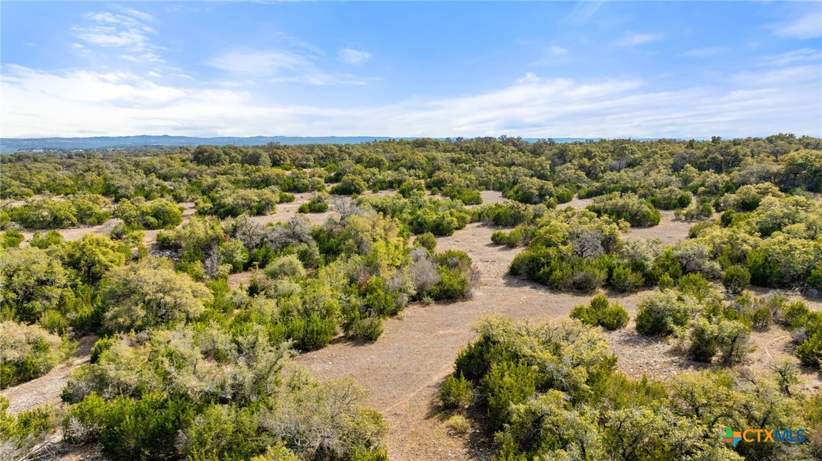 Tbd Ranch To Market 962 Property Photo 10