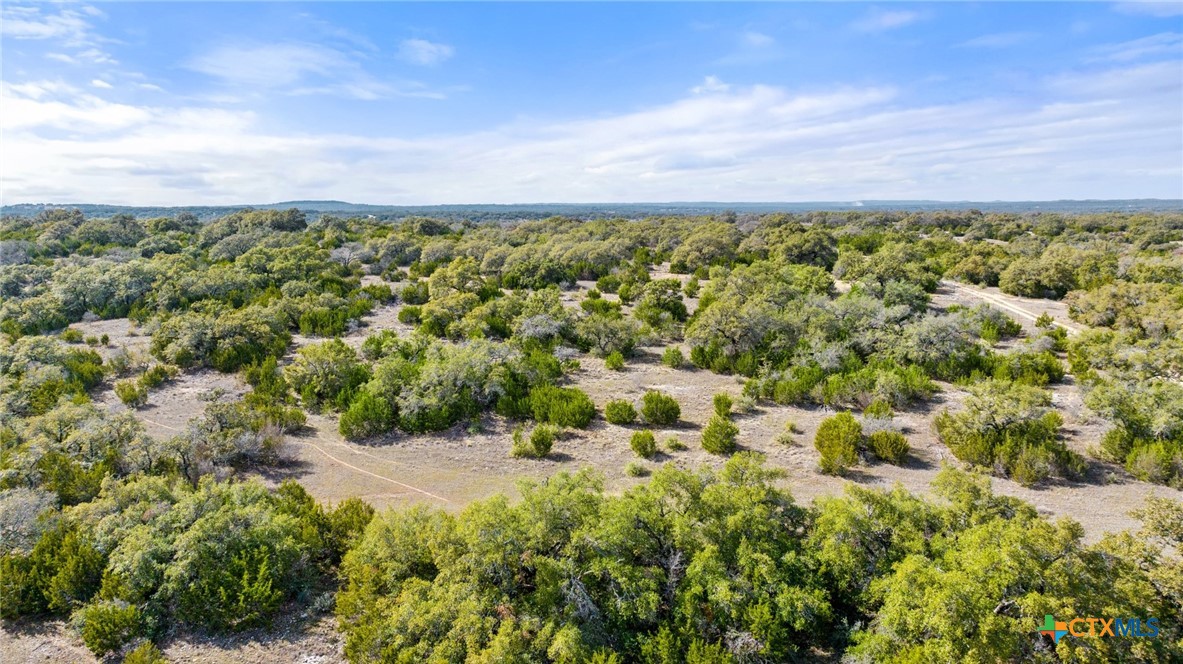 Tbd Ranch To Market 962 Property Photo 12