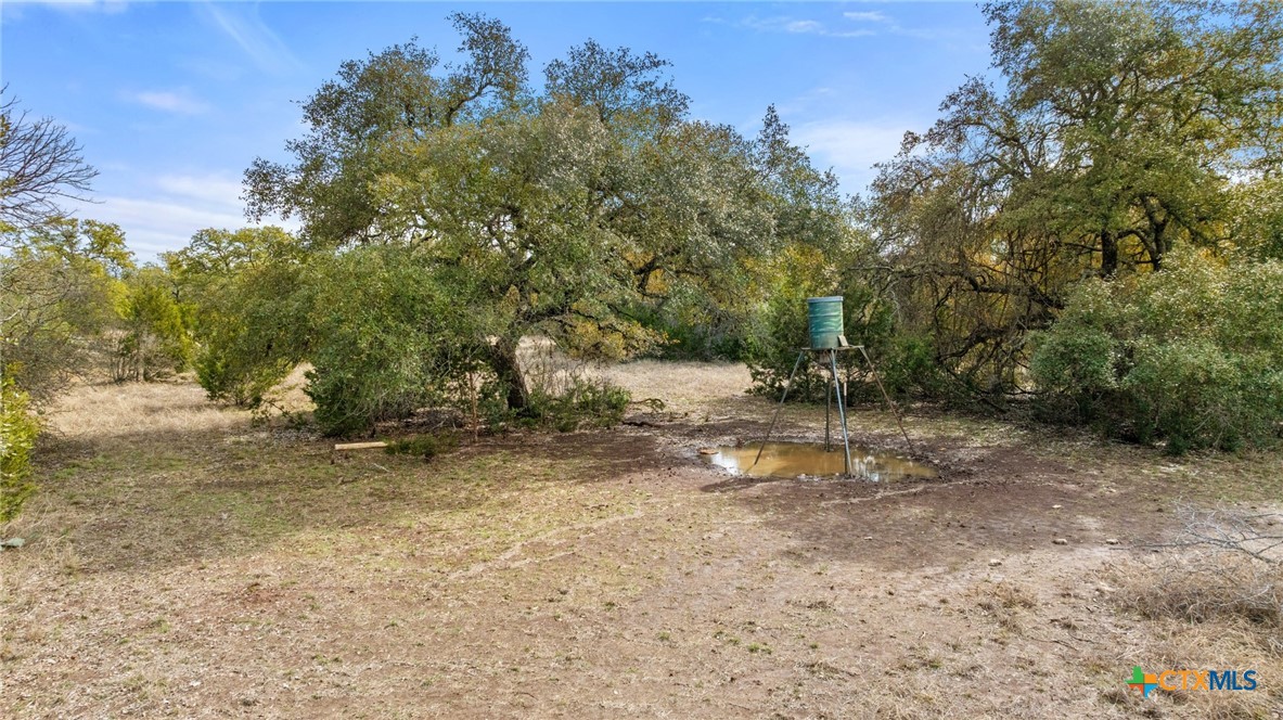 Tbd Ranch To Market 962 Property Photo 15