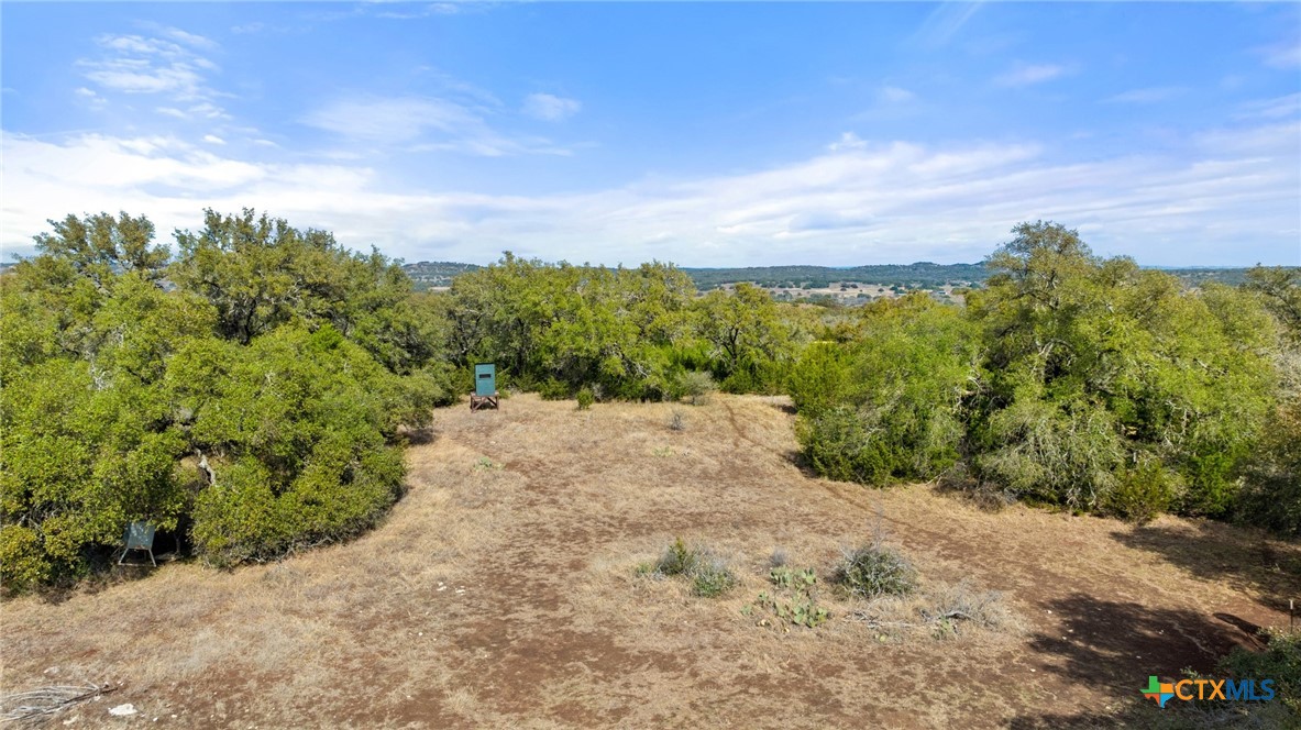 Tbd Ranch To Market 962 Property Photo 16