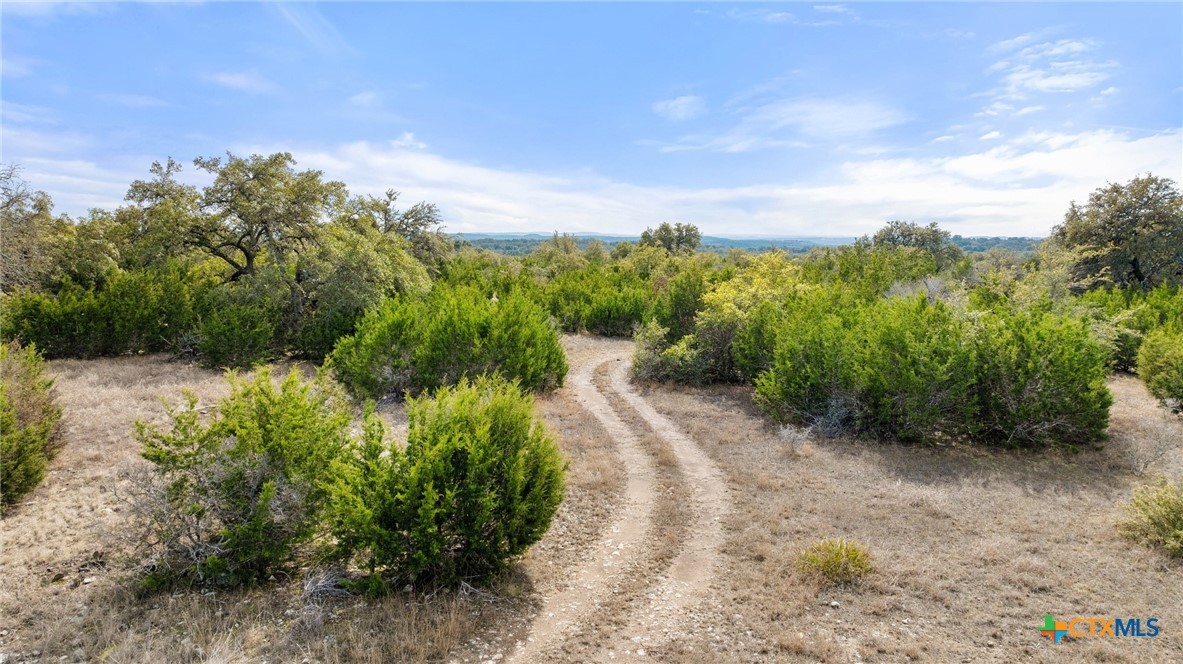 Tbd Ranch To Market 962 Property Photo 17