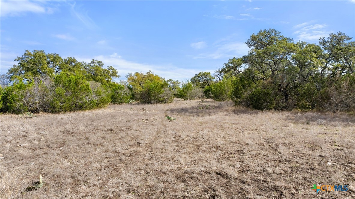 Tbd Ranch To Market 962 Property Photo 19