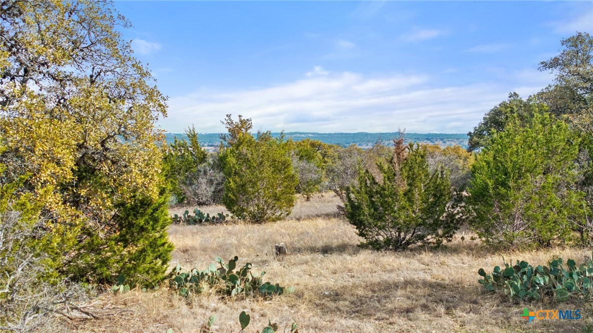 Tbd Ranch To Market 962 Property Photo 20