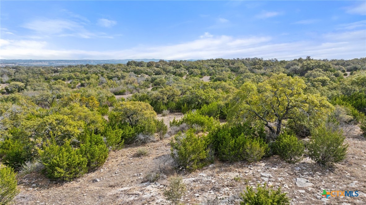 Tbd Ranch To Market 962 Property Photo 21