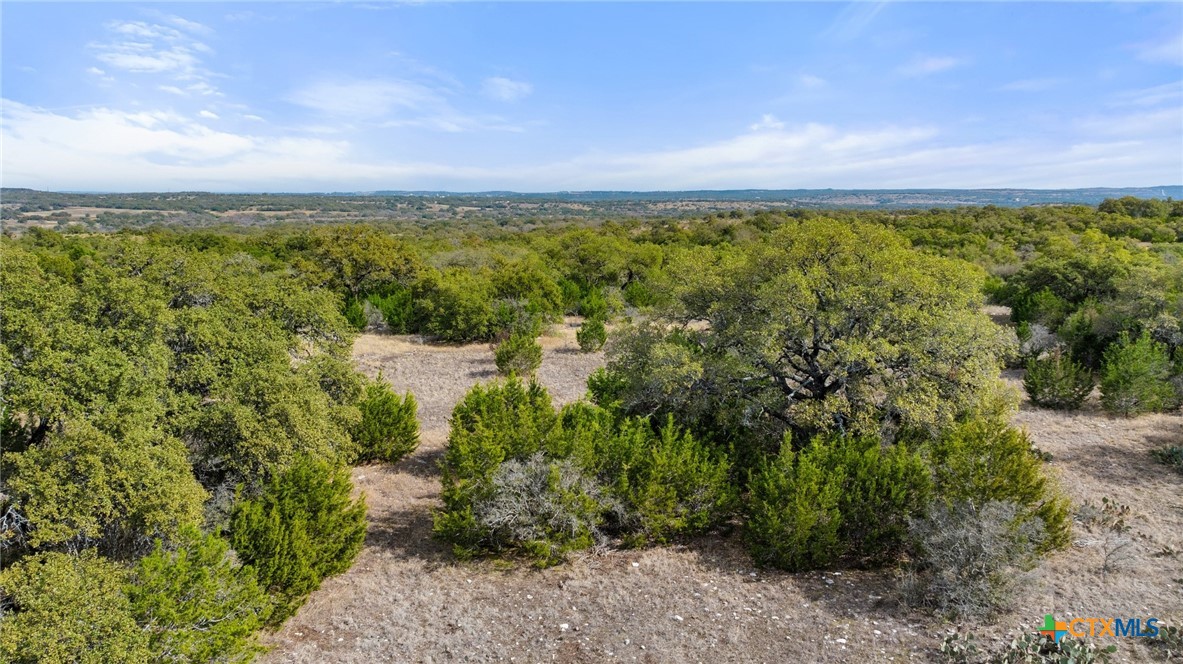 Tbd Ranch To Market 962 Property Photo 22