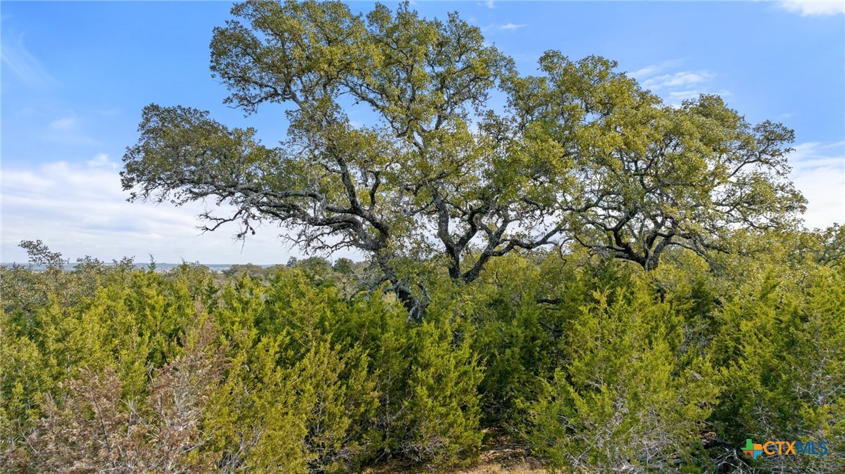 Tbd Ranch To Market 962 Property Photo 25