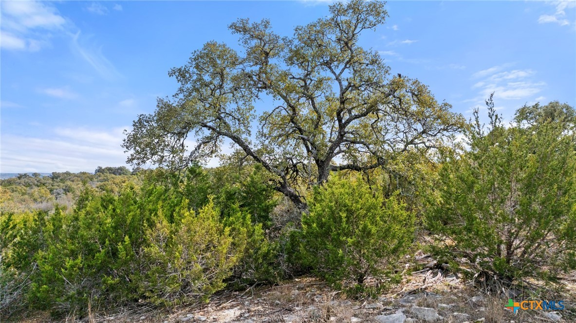 Tbd Ranch To Market 962 Property Photo 26
